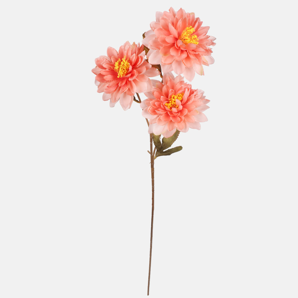 Dalia x 3, Peach G481-04