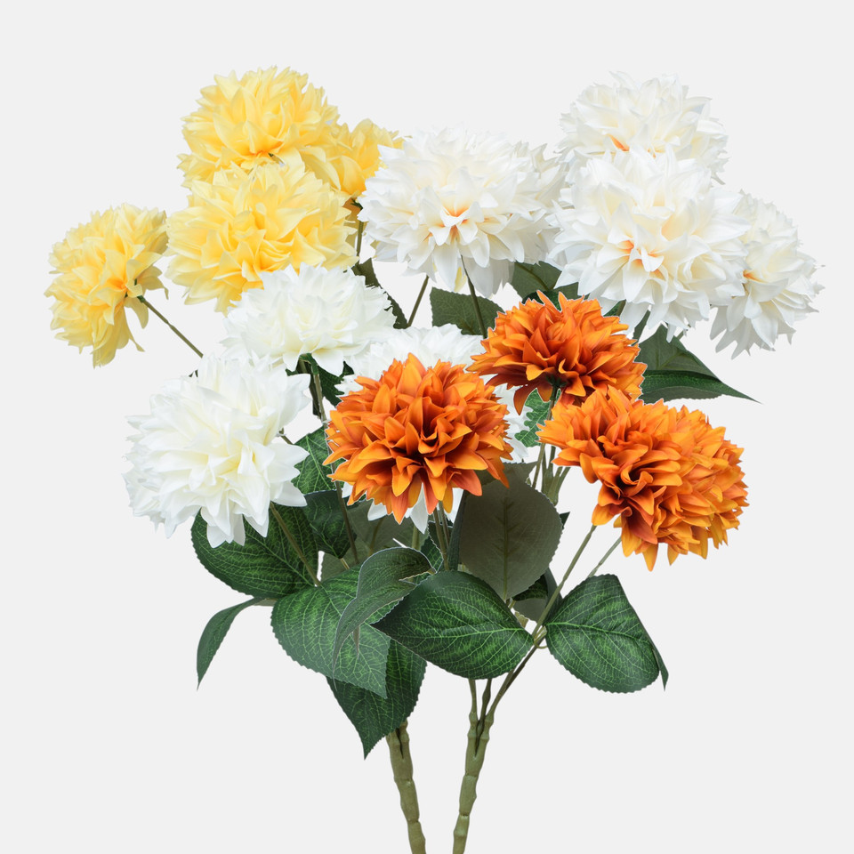 Chrysanthemum x 5, Mix U498-m
