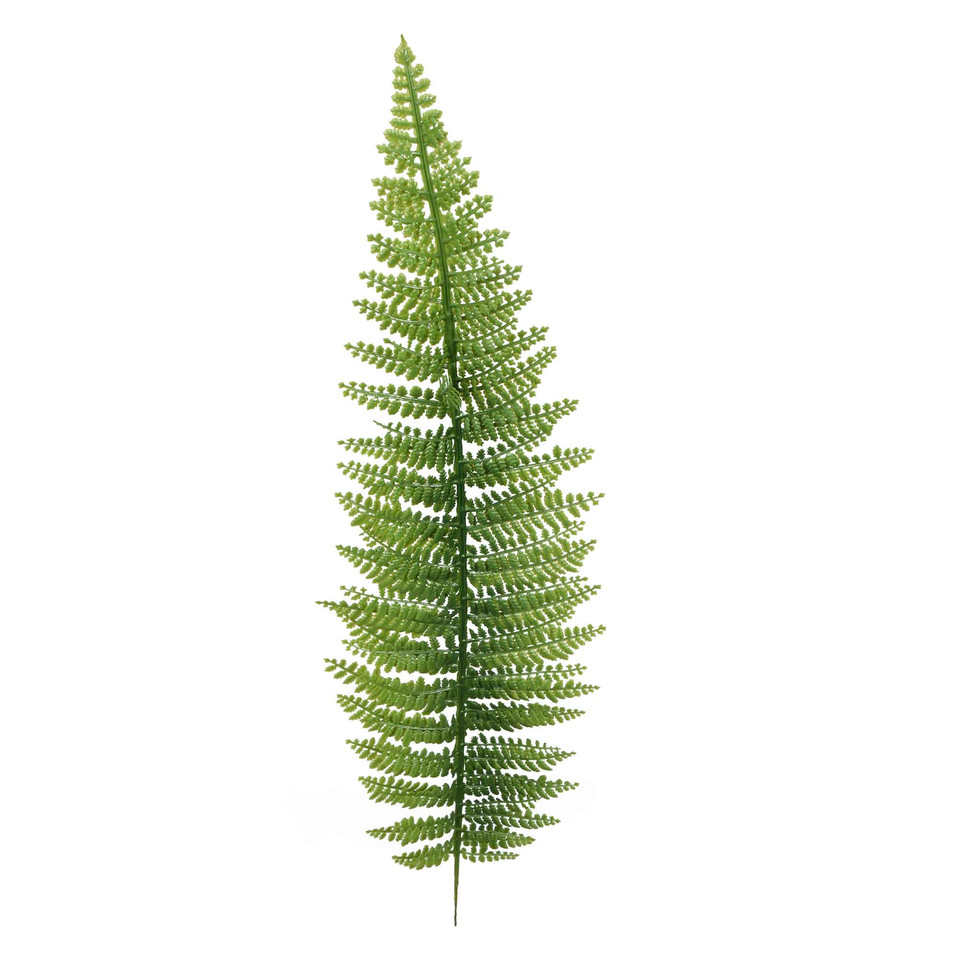 Paproć - liść 55 cm, green L803-00