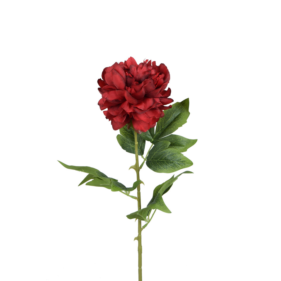 Peonia - gałązka 68 cm, m K415-m