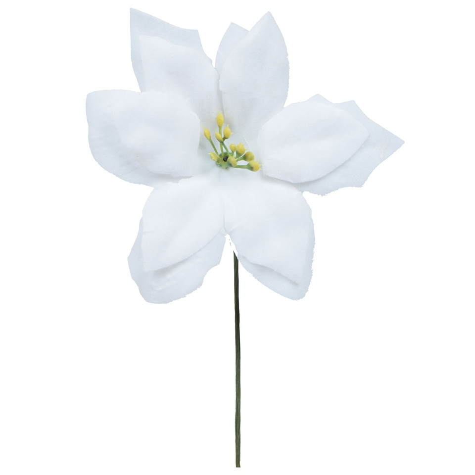 Poinsecja x 3 szt., White W434X-02