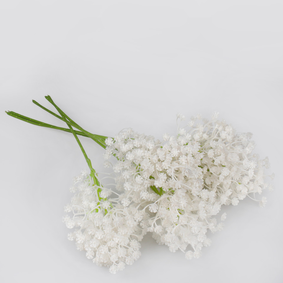 Gypsophila, White G200A-02