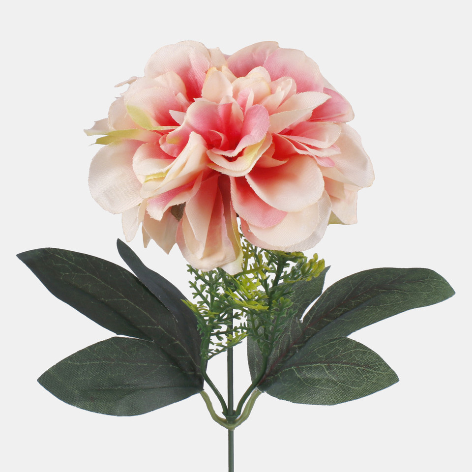 Dalia, Pink/Lt. Green Edge G436-04