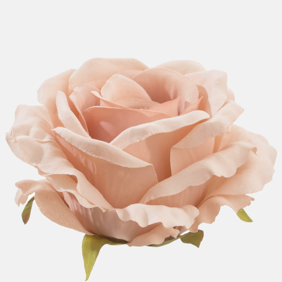 Rose, T.T. Beige W697-24