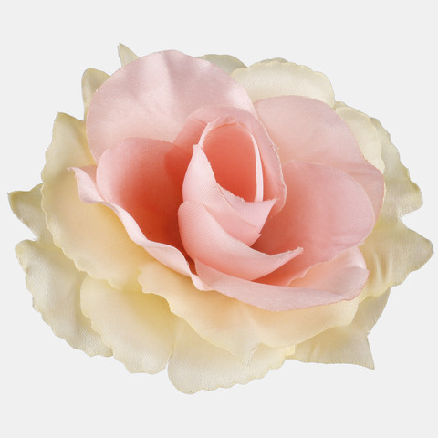 Rose W625