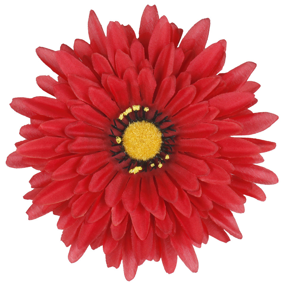 Gerbera  XXL, Red/Black W539-09