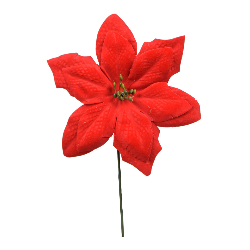 Poinsecja x 3 szt., Red W434X-01