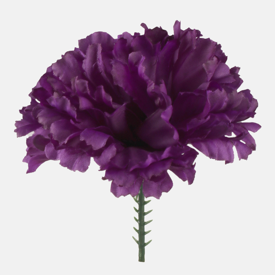 Carnation on the peak, Dk. Violet W721-07