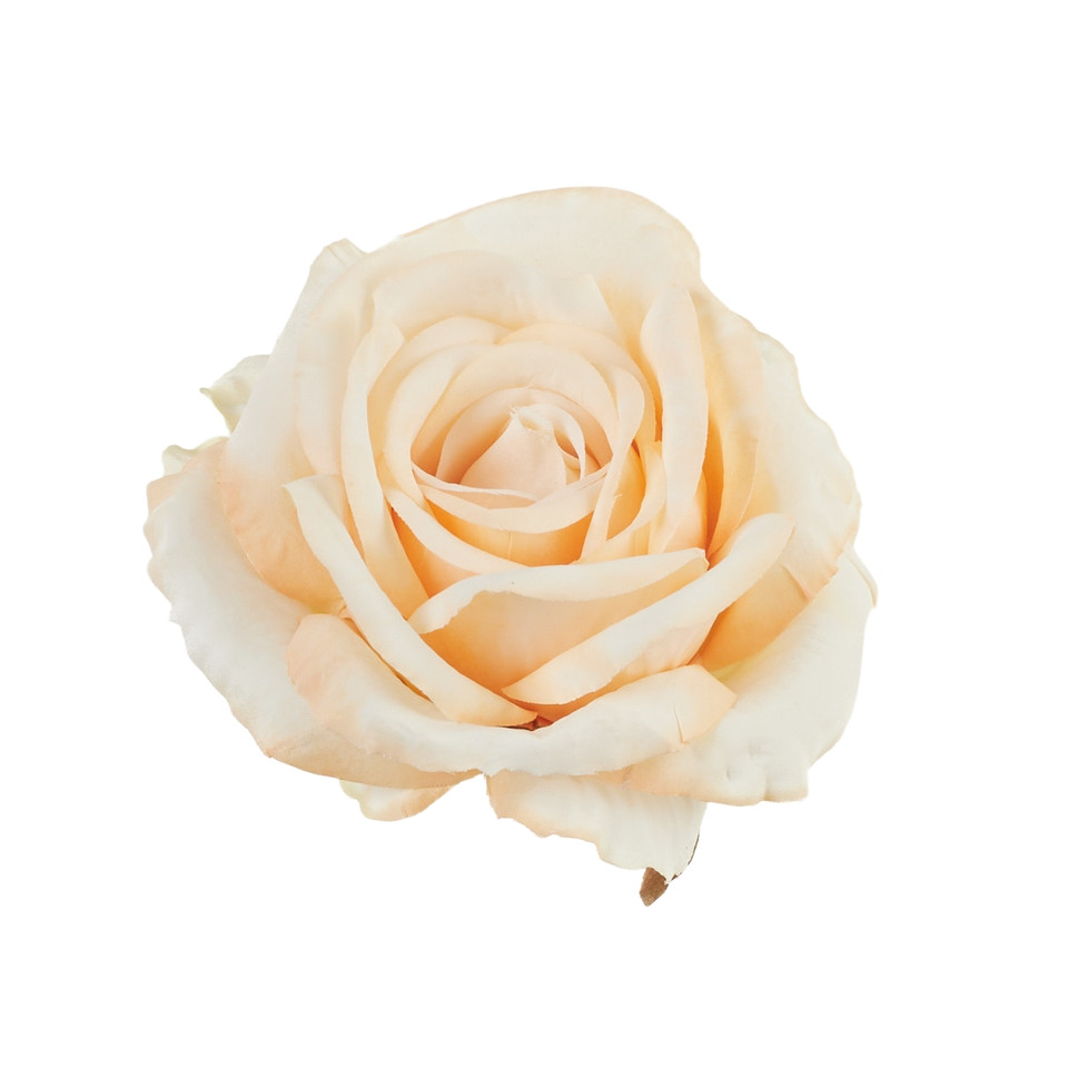 Rose, #03 peach B70-03