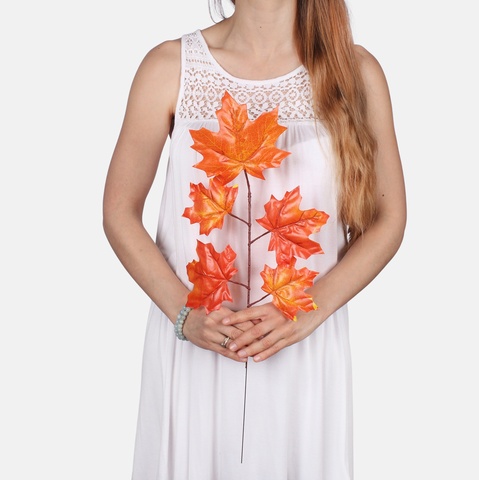 Maple F205 (Product size)