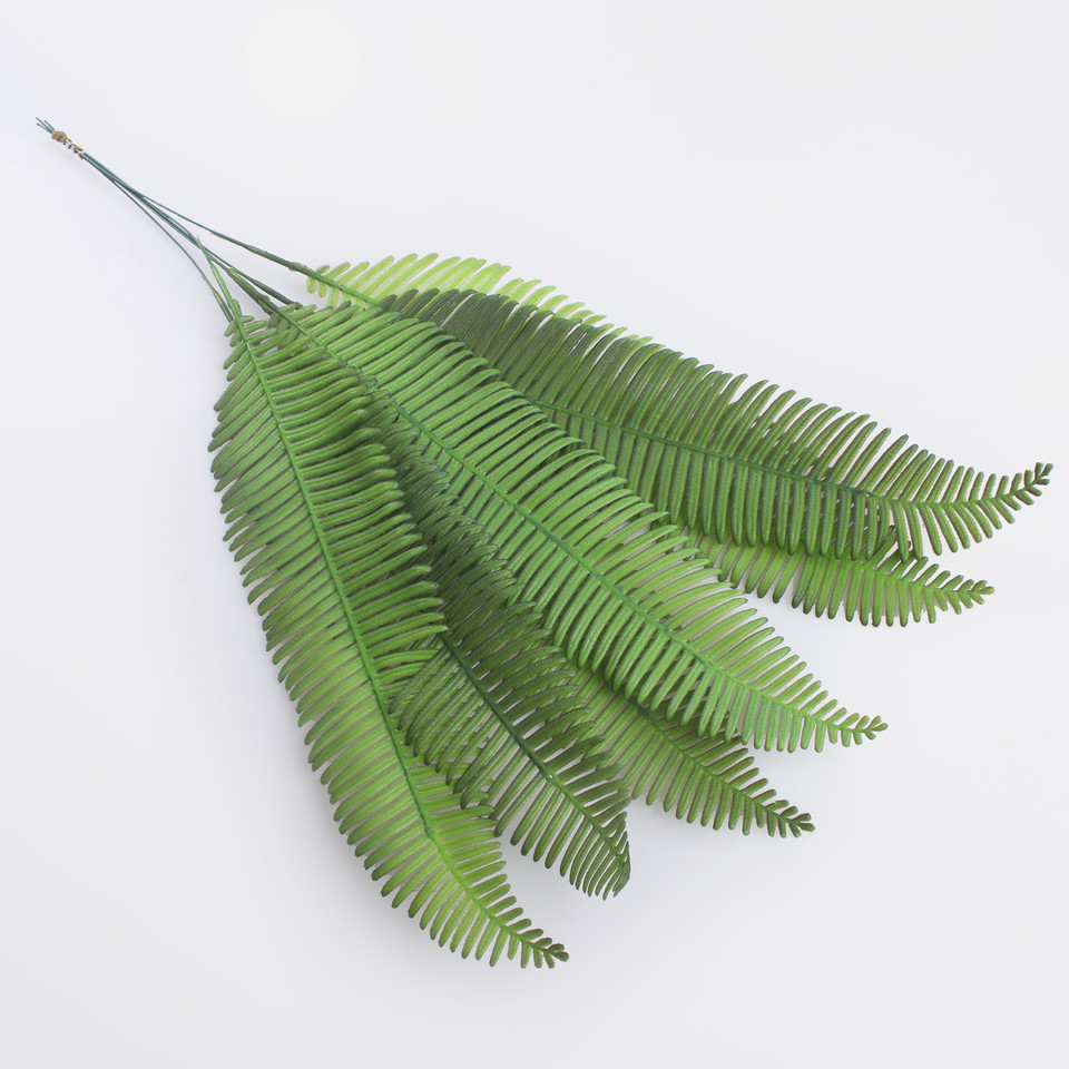 Fern, Green A664-01