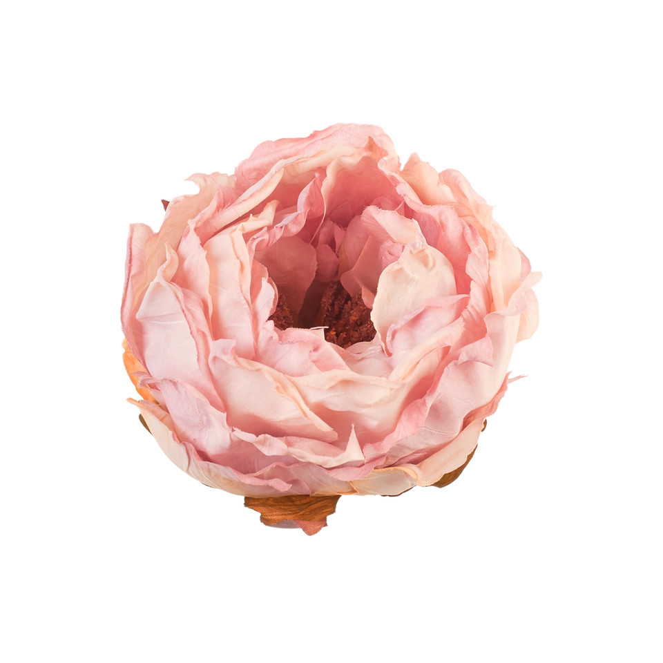 Peonia - główka, 03 pink B138-03
