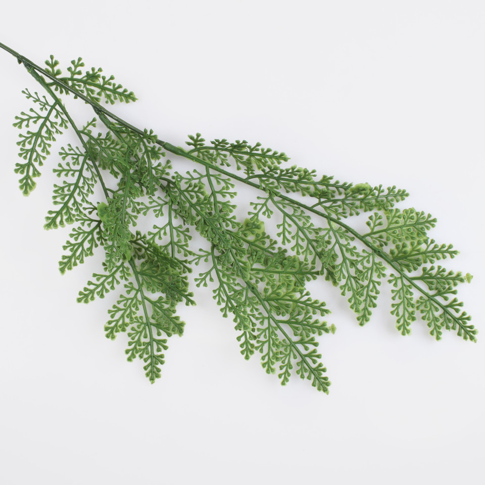 Fern, Green A733-01