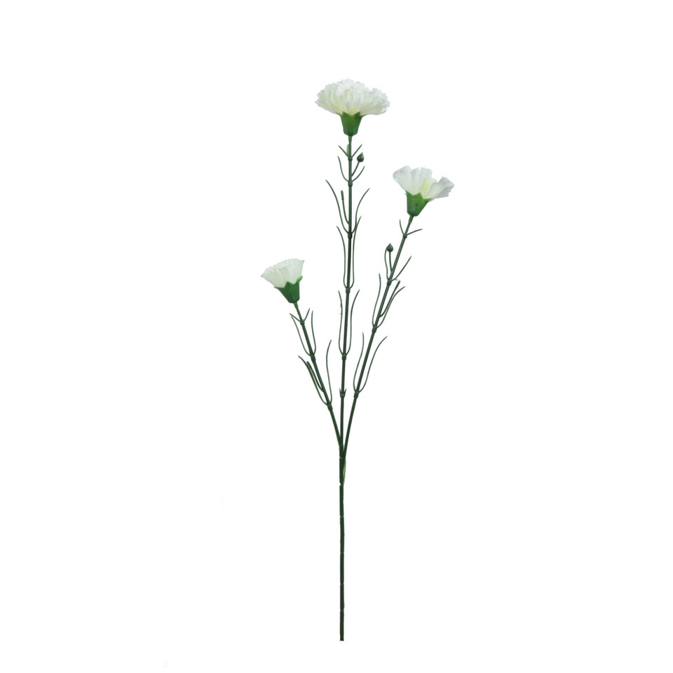 Goździk - gałązka 60 cm, m3 GK149-m3