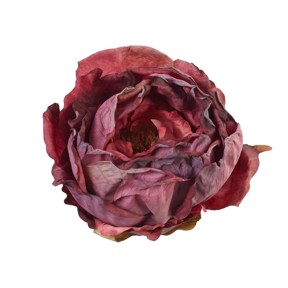 Peonia - główka, 06 red B138-06