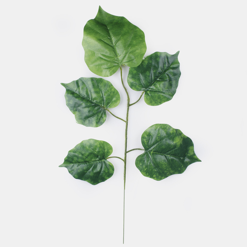 Linden, Green F002