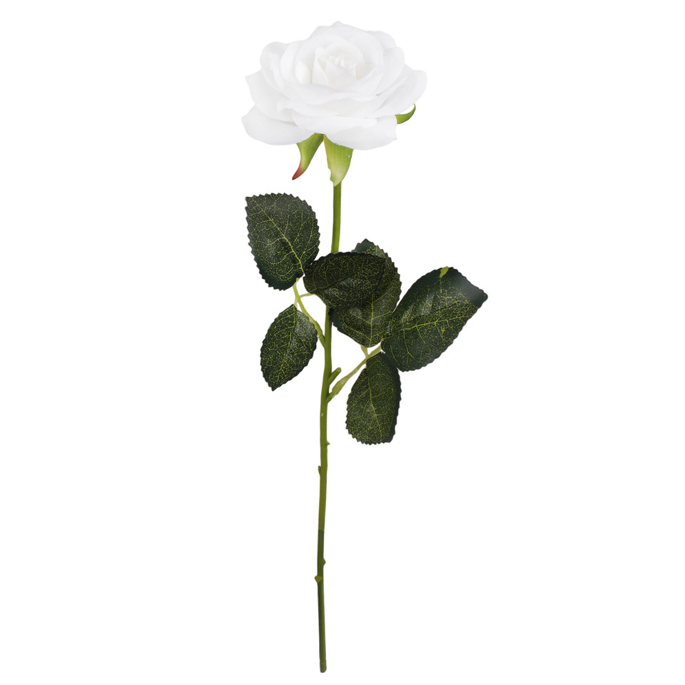 Rose, Cream G397-01