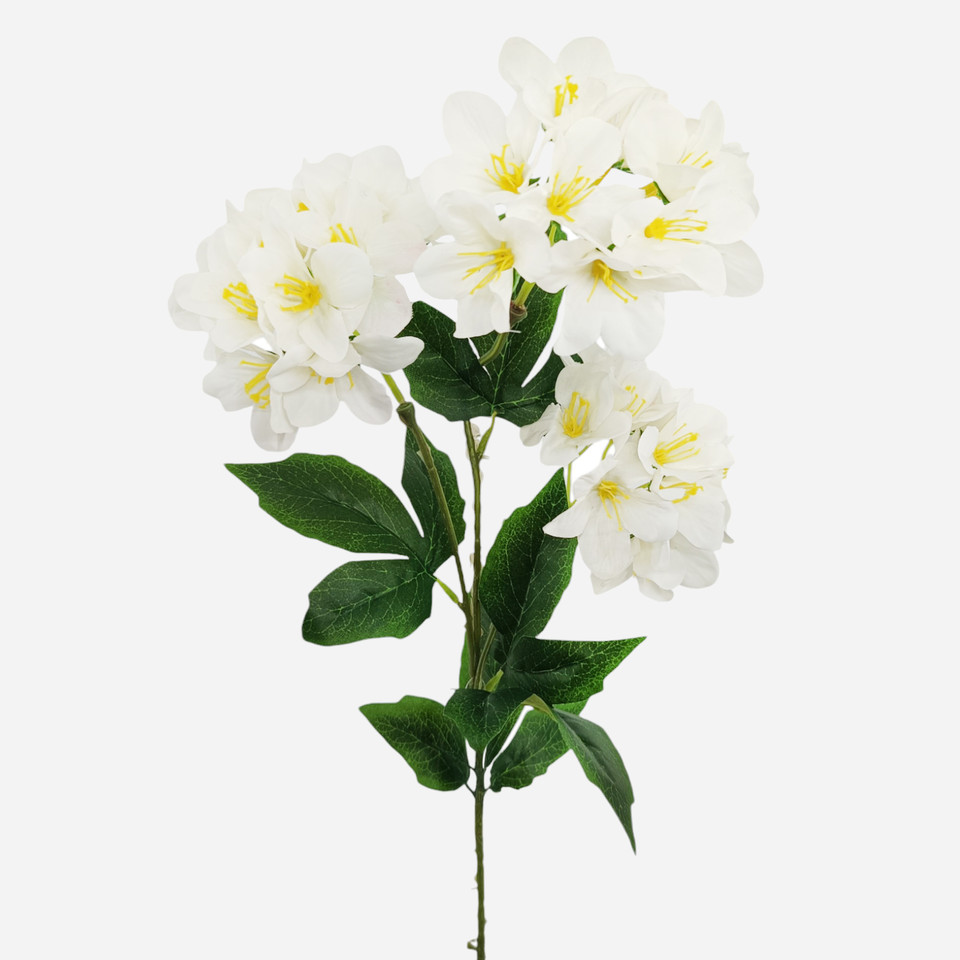 Hortensja, Cream L821-02
