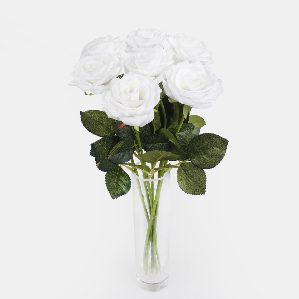Rose, Cream G397-01