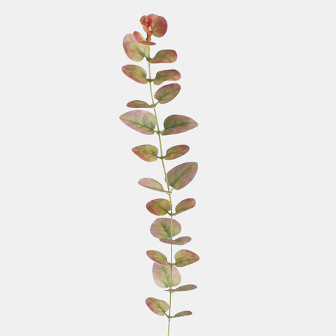 Eucalyptus twig, Burgundy/T.T. Green A707-01
