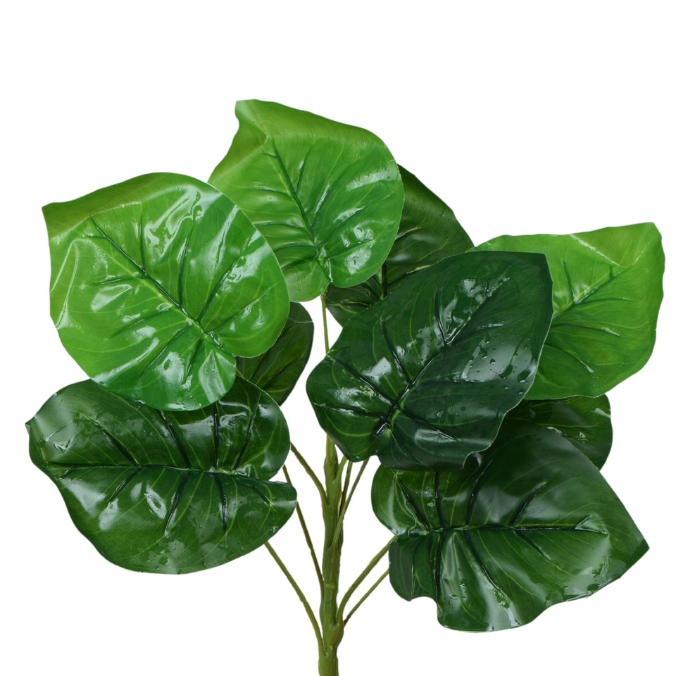 Filodendron - bukiet 34 cm, green R666-00