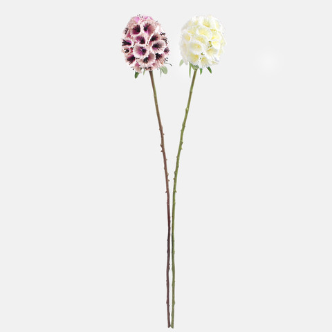 Viburnum snowball, Purple G490-02