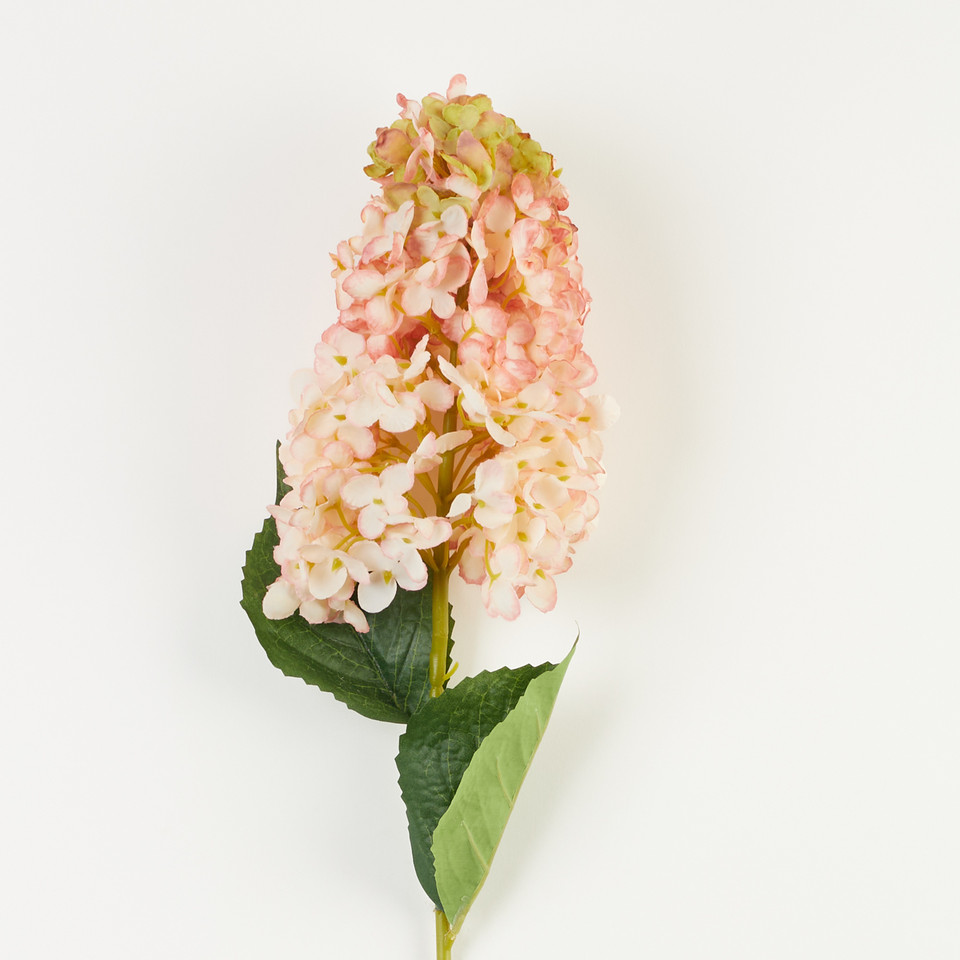 Hortensja – gałązka, pink/green A30-02