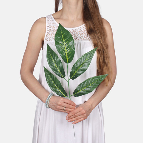 Nut F215 (Product size)