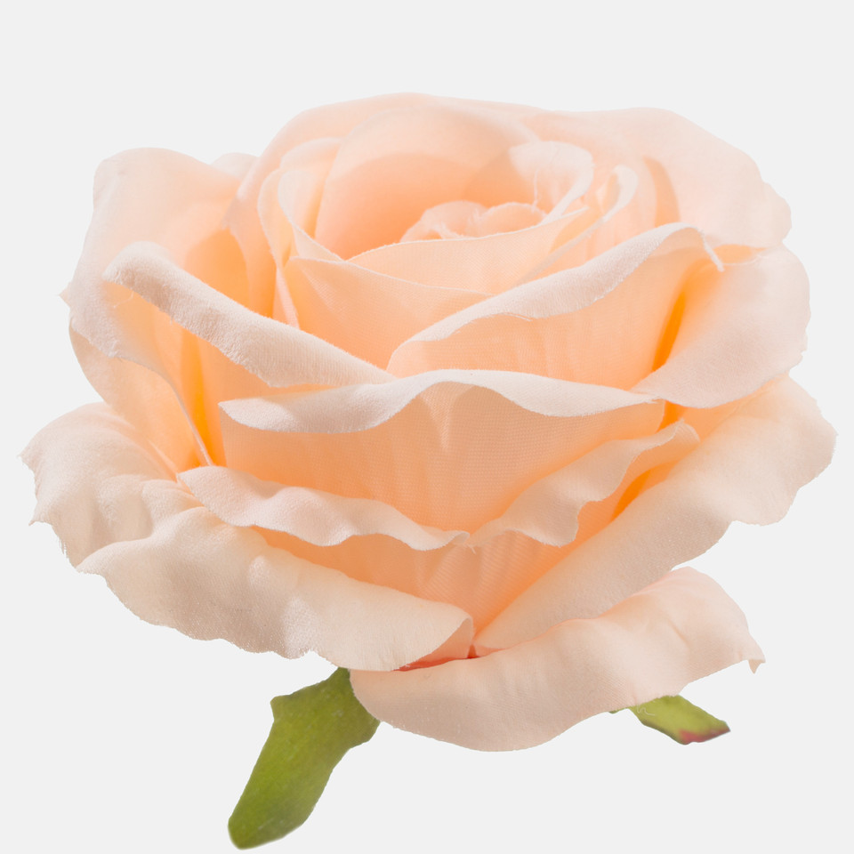 Rose, Peach W697-03