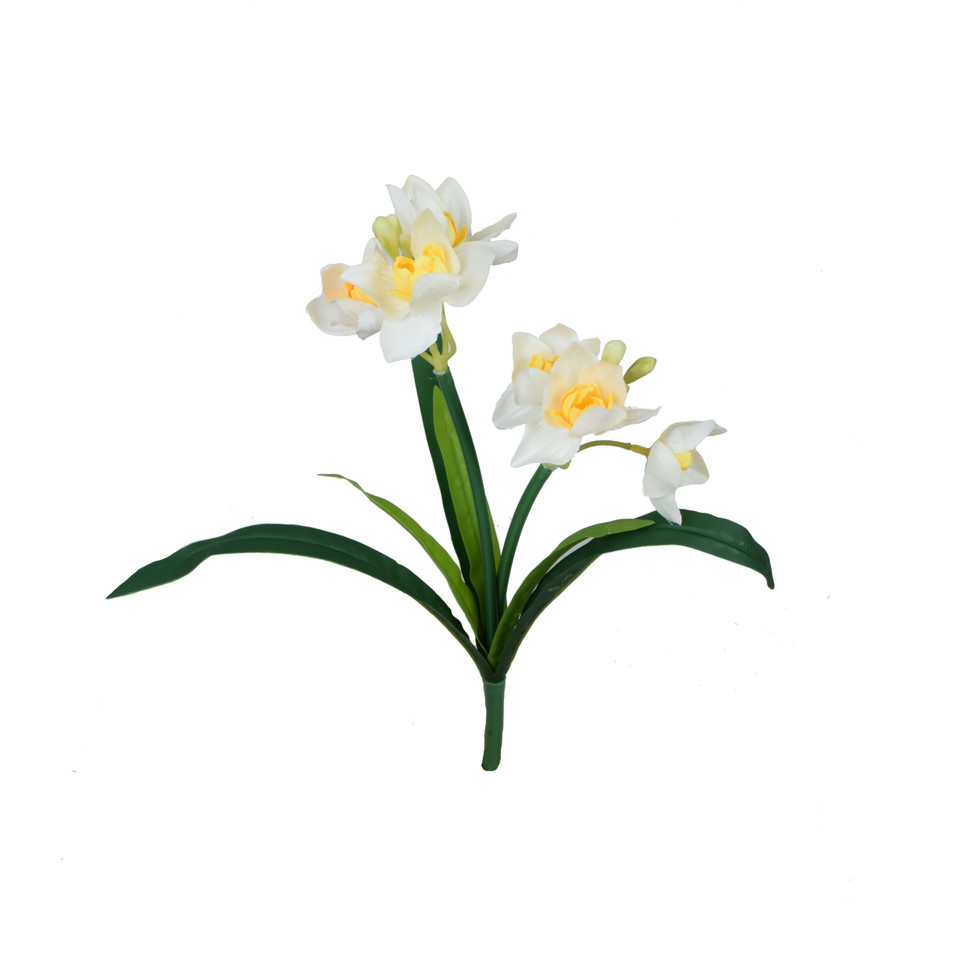 Żonkil - bukiet 36 cm, m U970E-m
