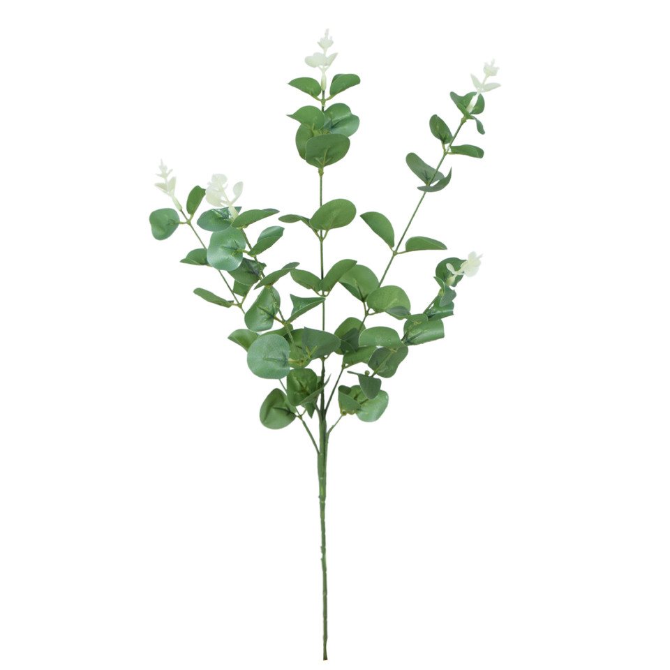 Eukaliptus - gałązka 62 cm, cream/green R667-00