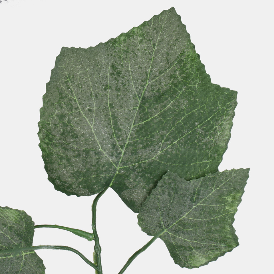 Winorośl (1 x 9), Green A748-01