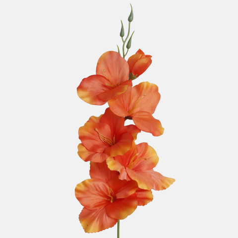 Mieczyk satynowy, Dk. Orange G190K-14