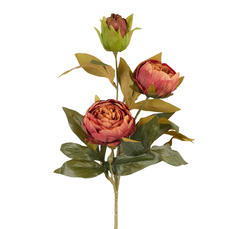 Peonia – gałązka x3, 28 B38-28