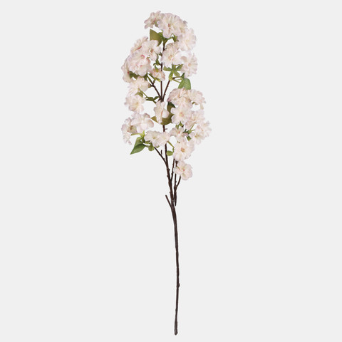 Azalea, Peach L899-01