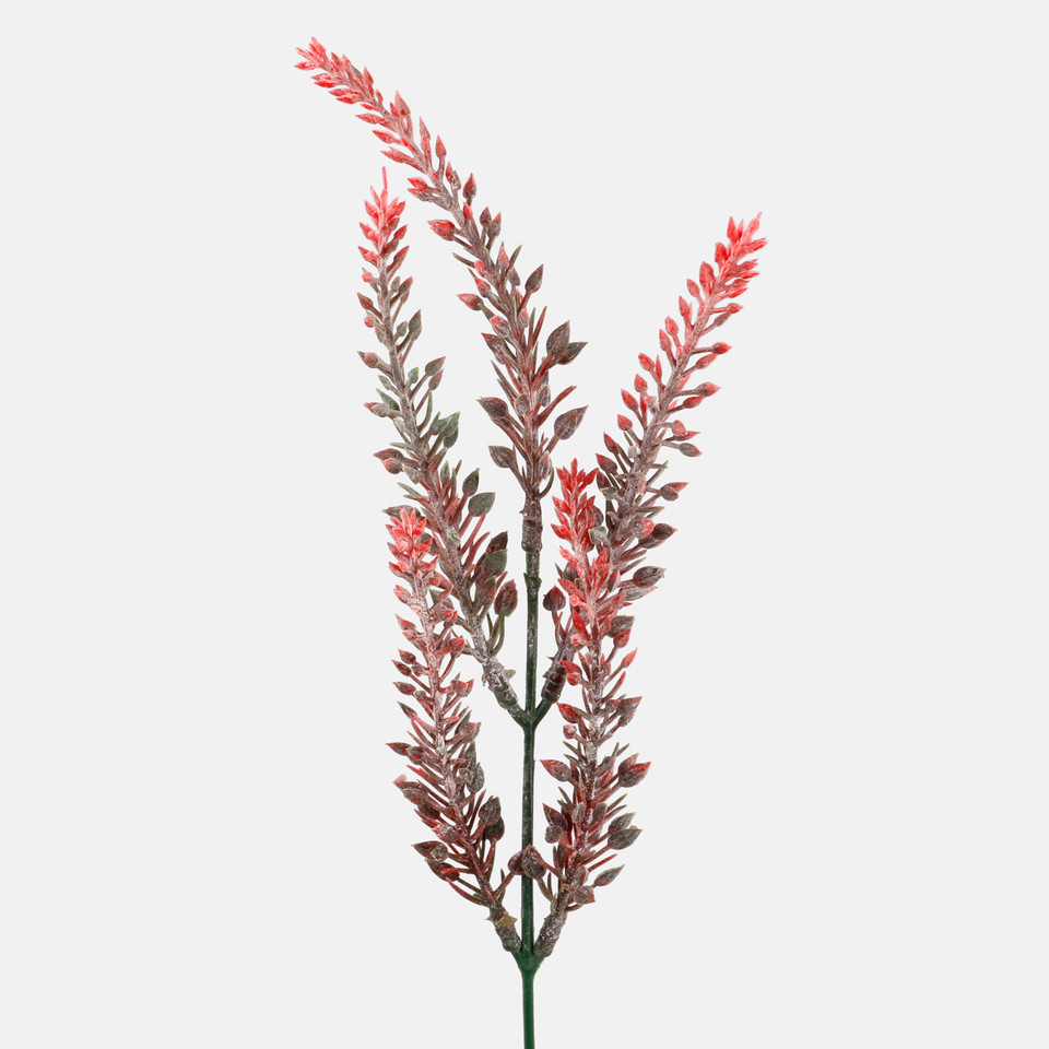 Heather, Red A367K-02