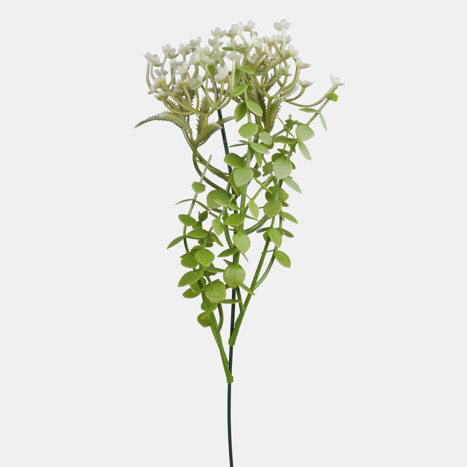 Borówka, Mix 1 A779-05
