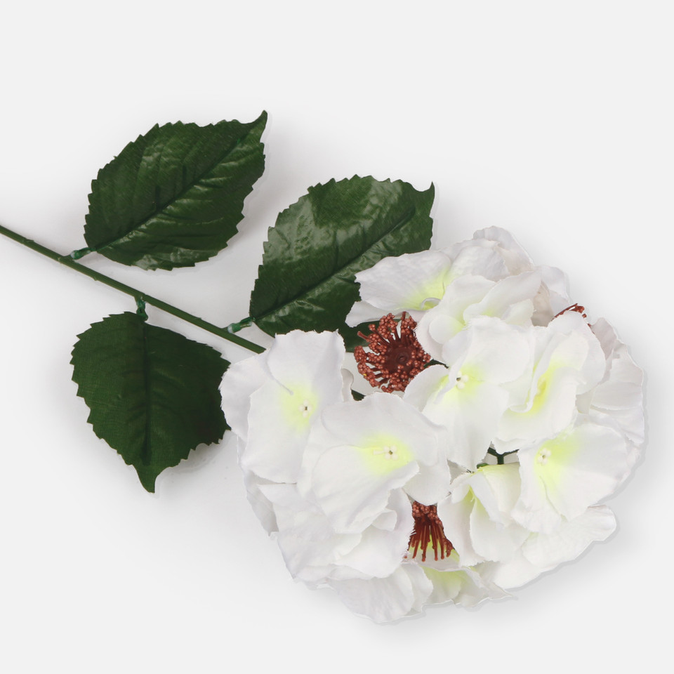 Hydrangea, Mix 2 L064-02