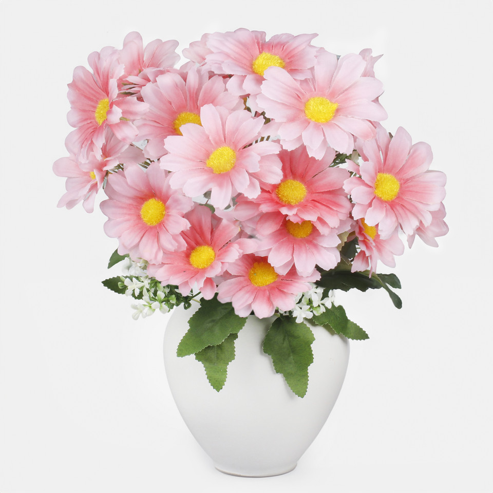 Daisy x 7, Lt. Pink QA278-02