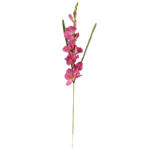 Gladiolus - twig, 15 pink AL184-15