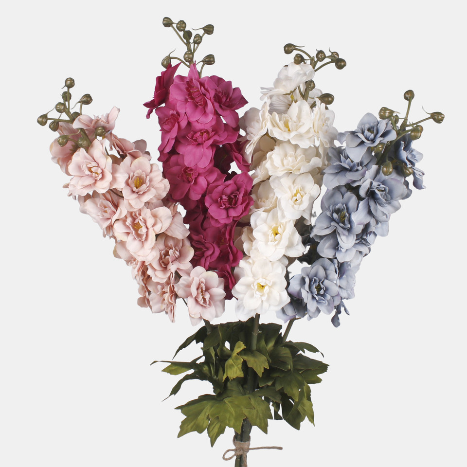 Delphinium, Mix 2 L181-02