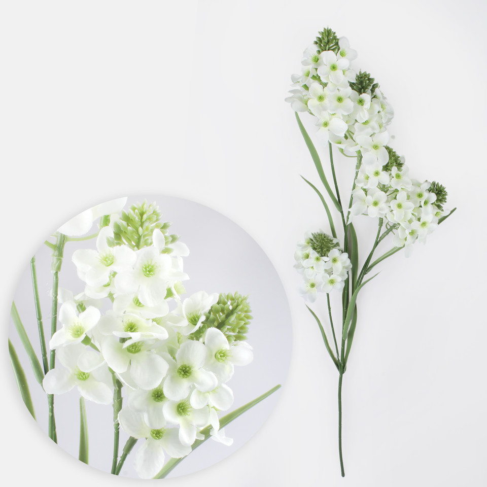 Tuberose, Cream L873-01