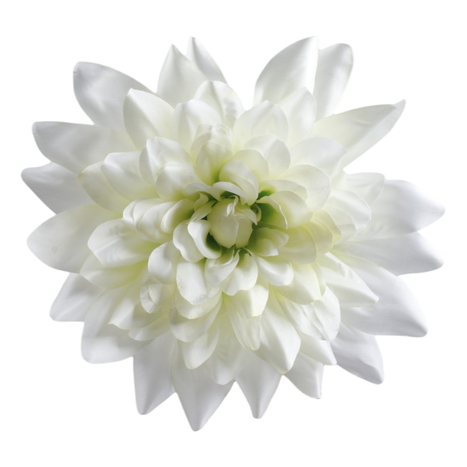 Dalia, White/Green W170-03