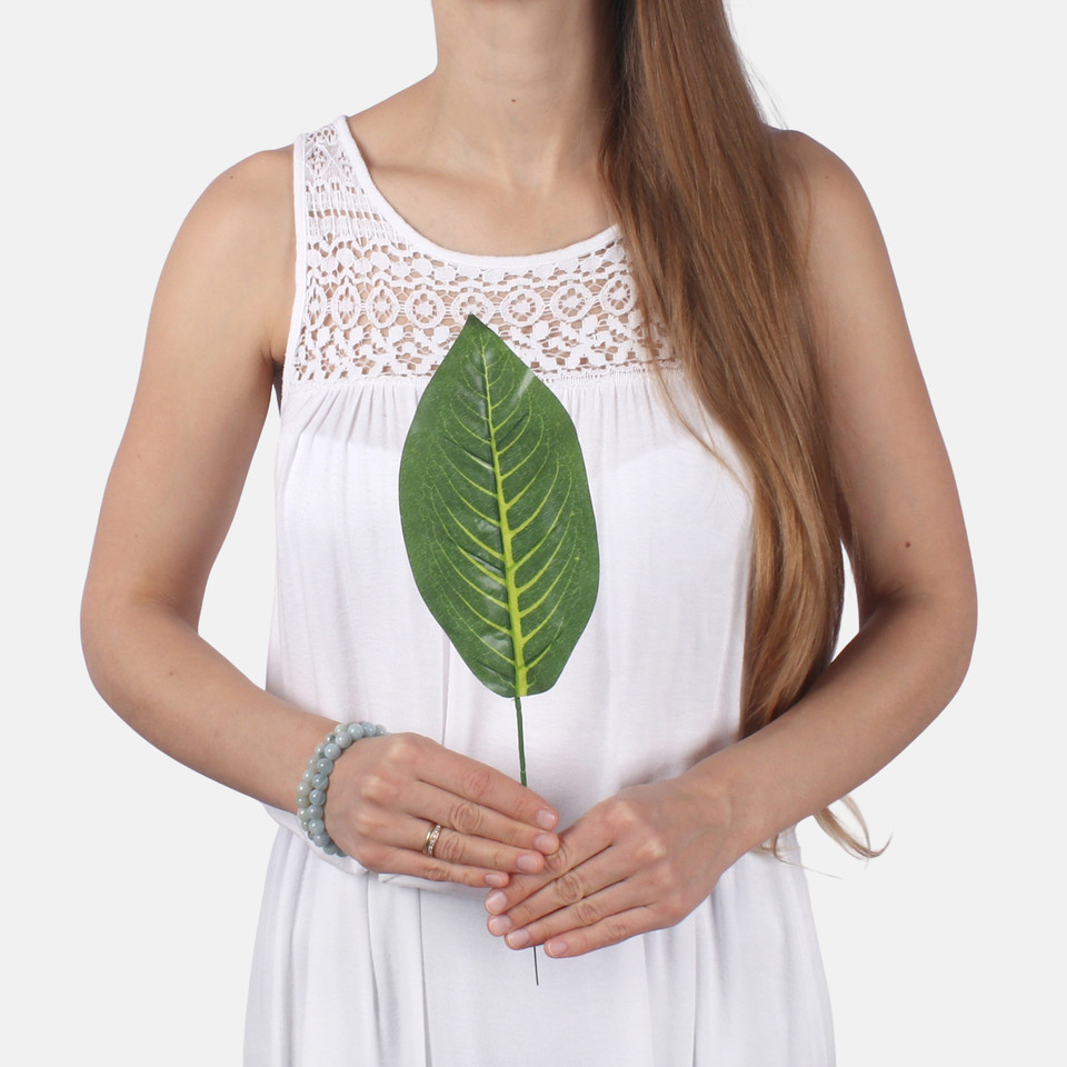 Kroton liść pojedynczy, Green A810E