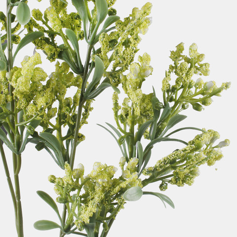 Lucerne, Green L855-02