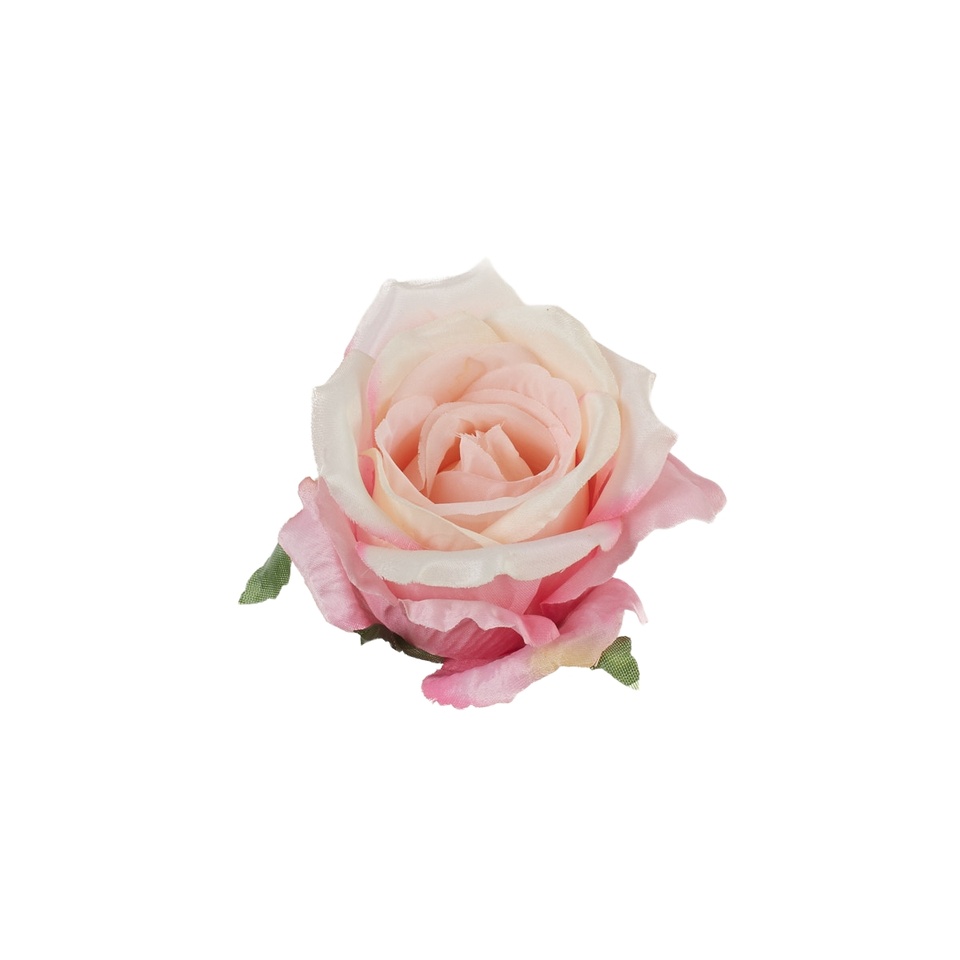 Róża – główka, #222 peach/pink B53-222