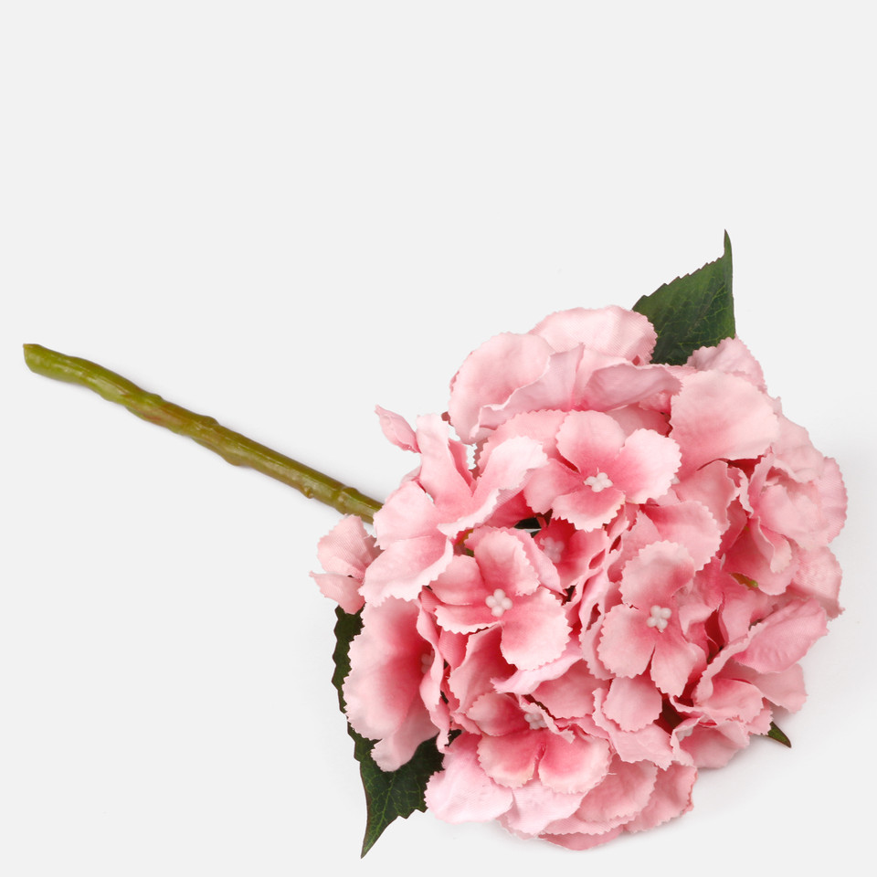 Hydrangea, Mix 1 G417-01