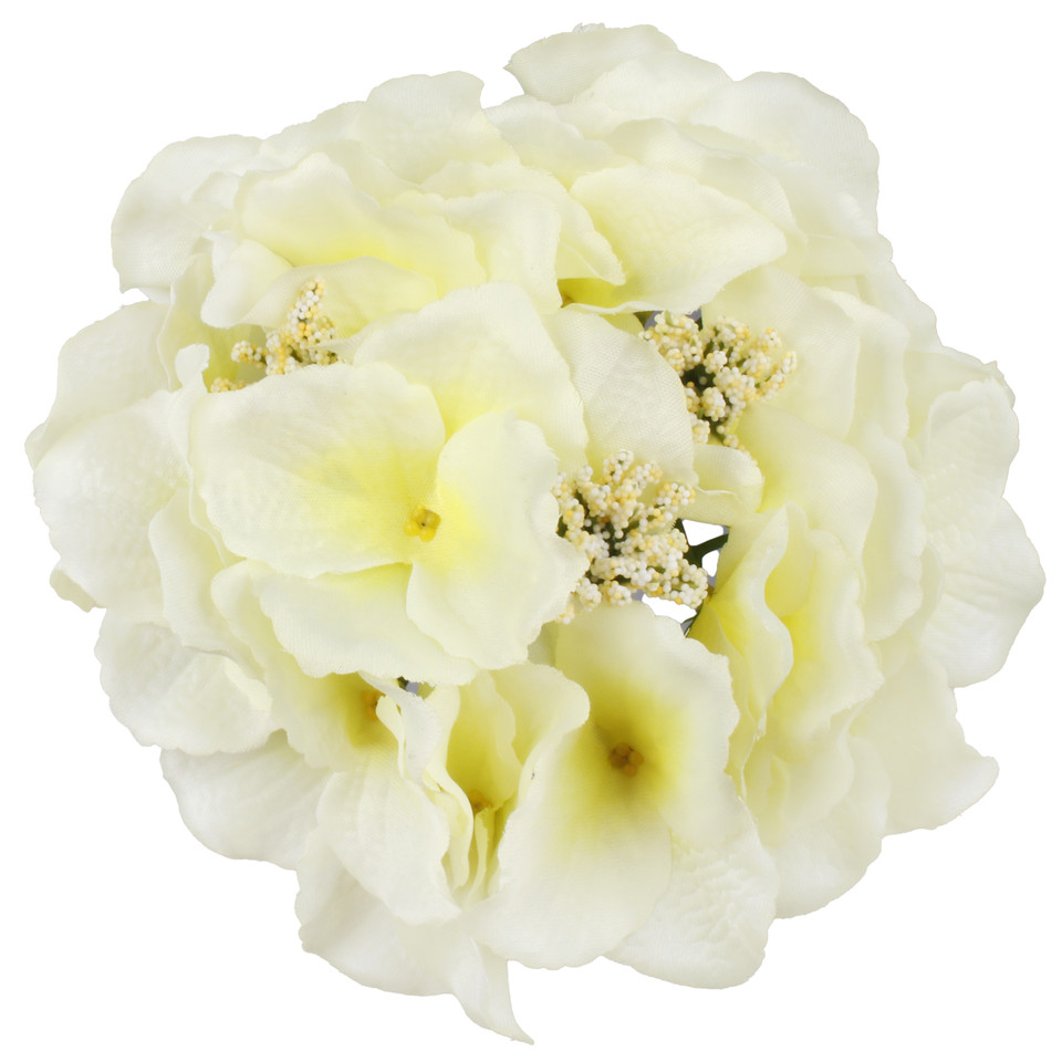 Hortensja satynowa, Lt. Yellow W611-04