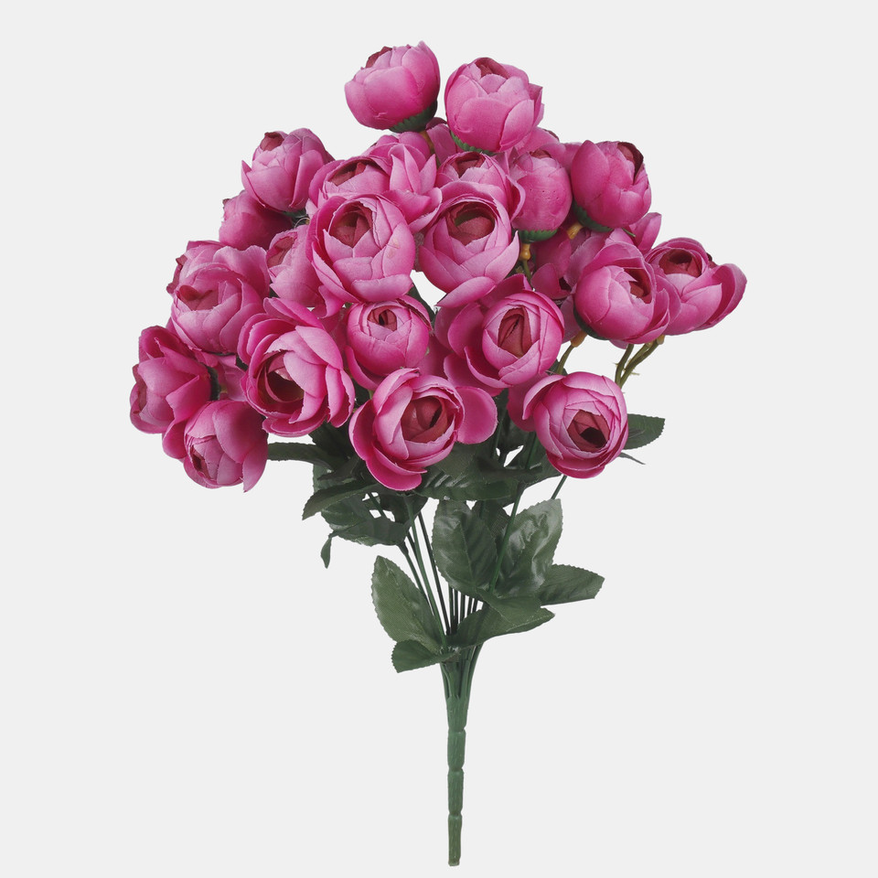 Camellia x 36, Mix 1 QA285-01