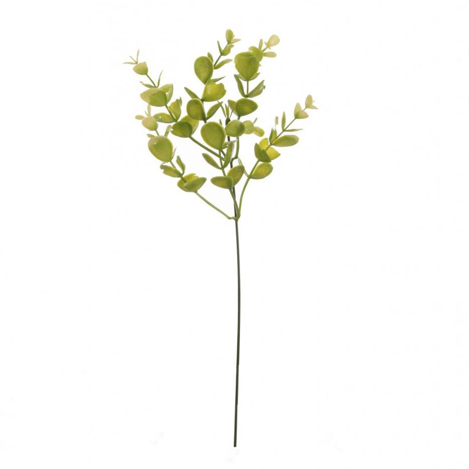 Eukaliptus - gałązka 35 cm, green/cream L279-01